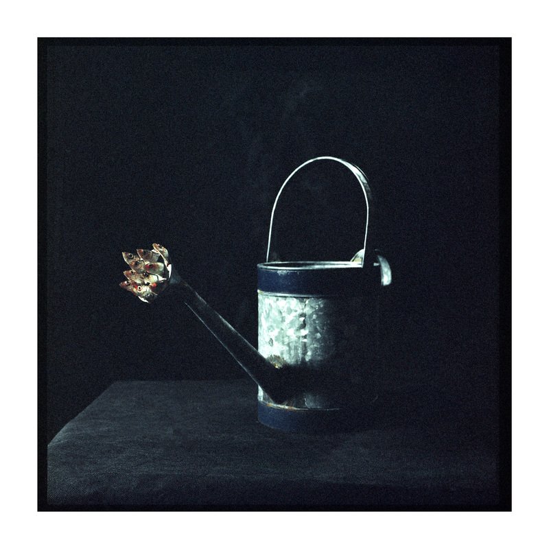 Film, analogue, art, fish, miracles, ironic, series, surrealism Maxina Ex Deo (Triptych) фото превью