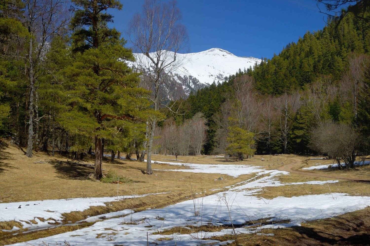 горы весна кавказ архыз, Александр Жарников