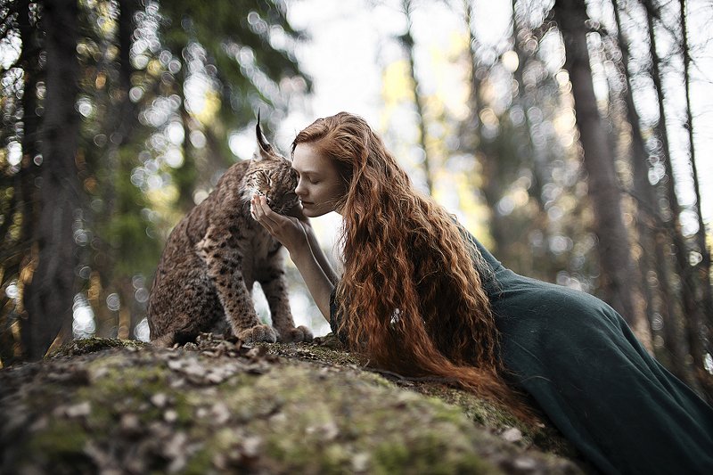 Children of the woods фото превью