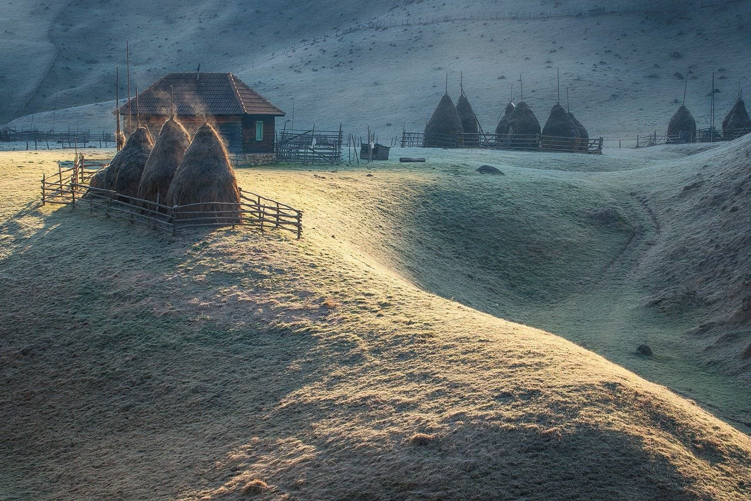 , Красимир Матаров