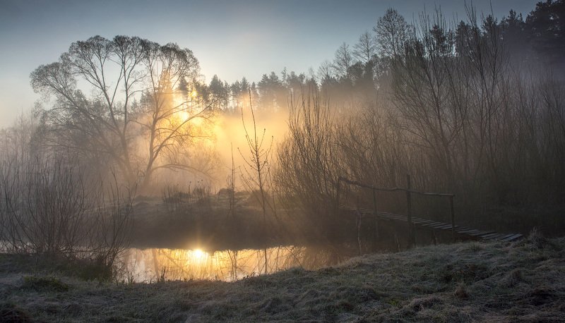 Весеннее солнышко... фото превью