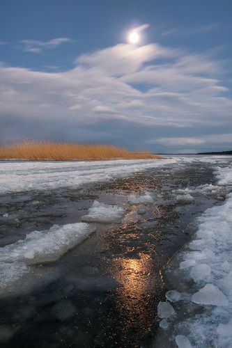 В лунном свете