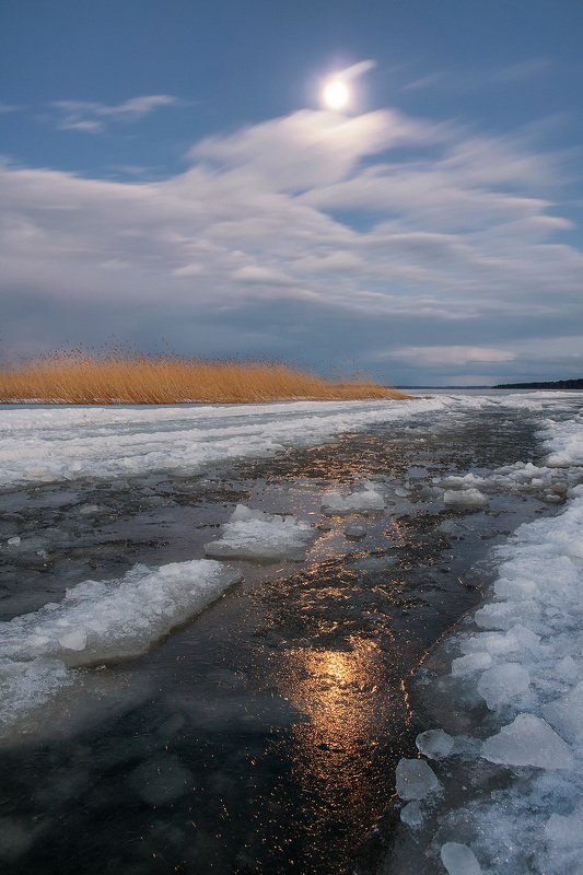 В лунном свете фото превью