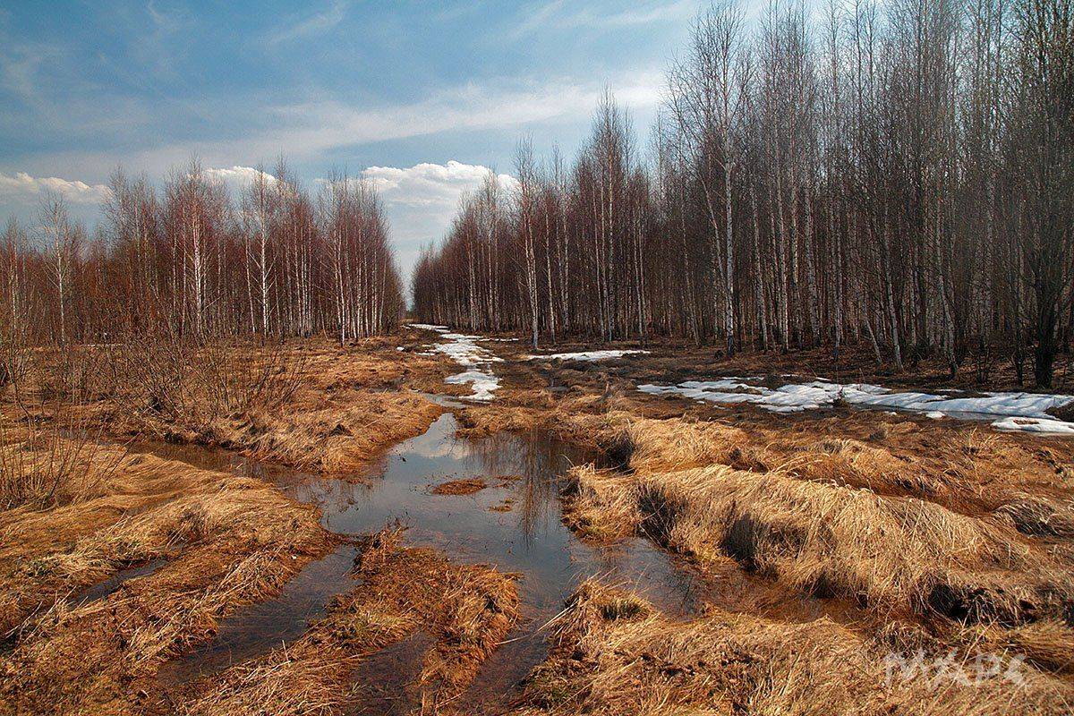 пейзаж март весна, Шангареев Марс
