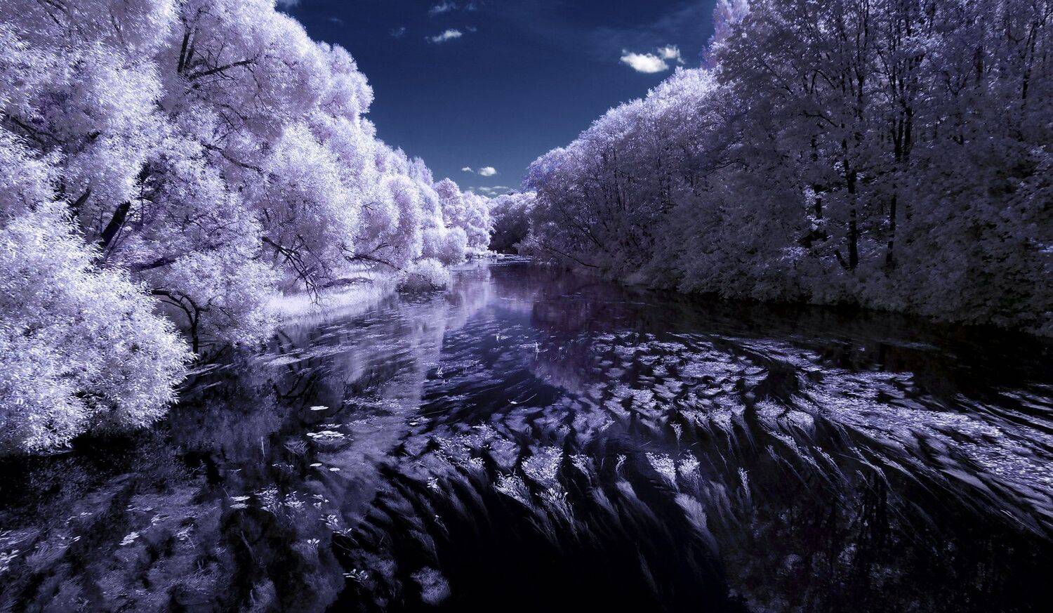 infrared,ик-фото,инфракрасное фото, инфракрасная фотография, пейзаж, лето, беларусь, Sixten ( Сергей )