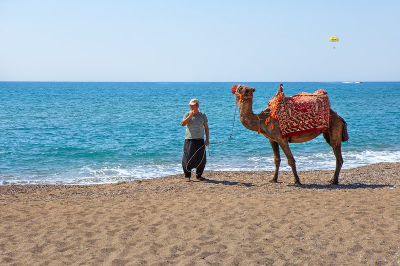эх прокачу ... фото превью