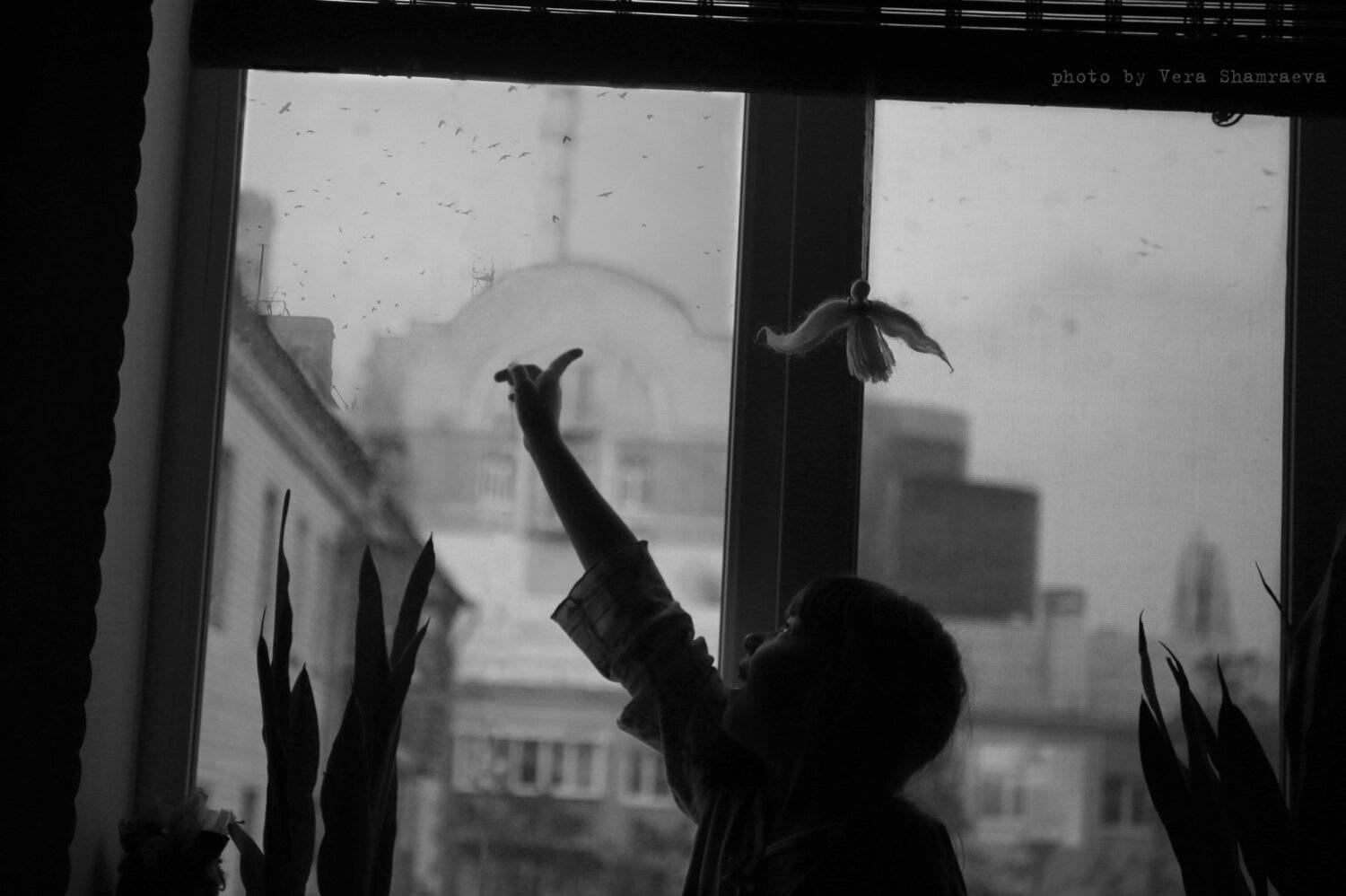 весна прилетели птицы жанровая фотография Вера шамраева, Вера Шамраева