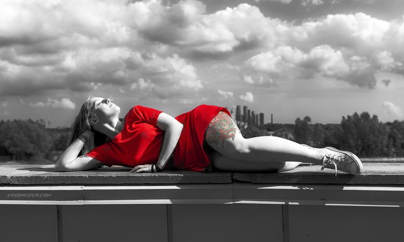 Красный осьминог фото превью