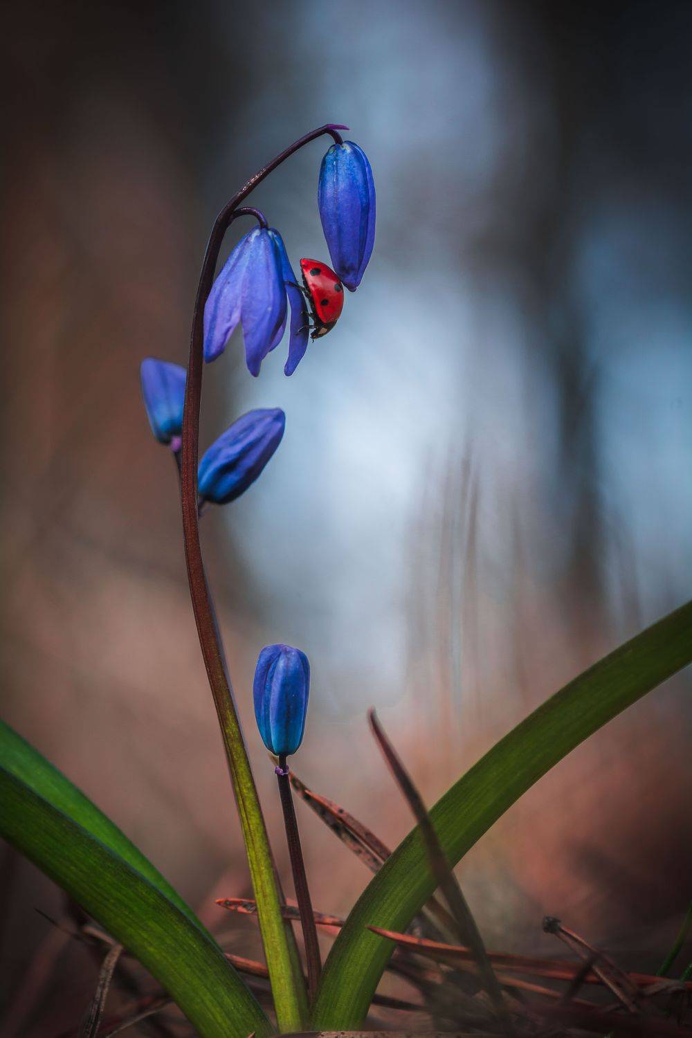 , Роман Зайцев