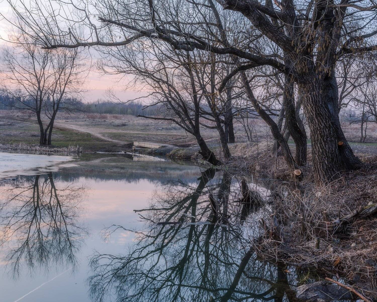 природа, пейзаж, закат, весна, апрель, Мартыненко Дмитрий