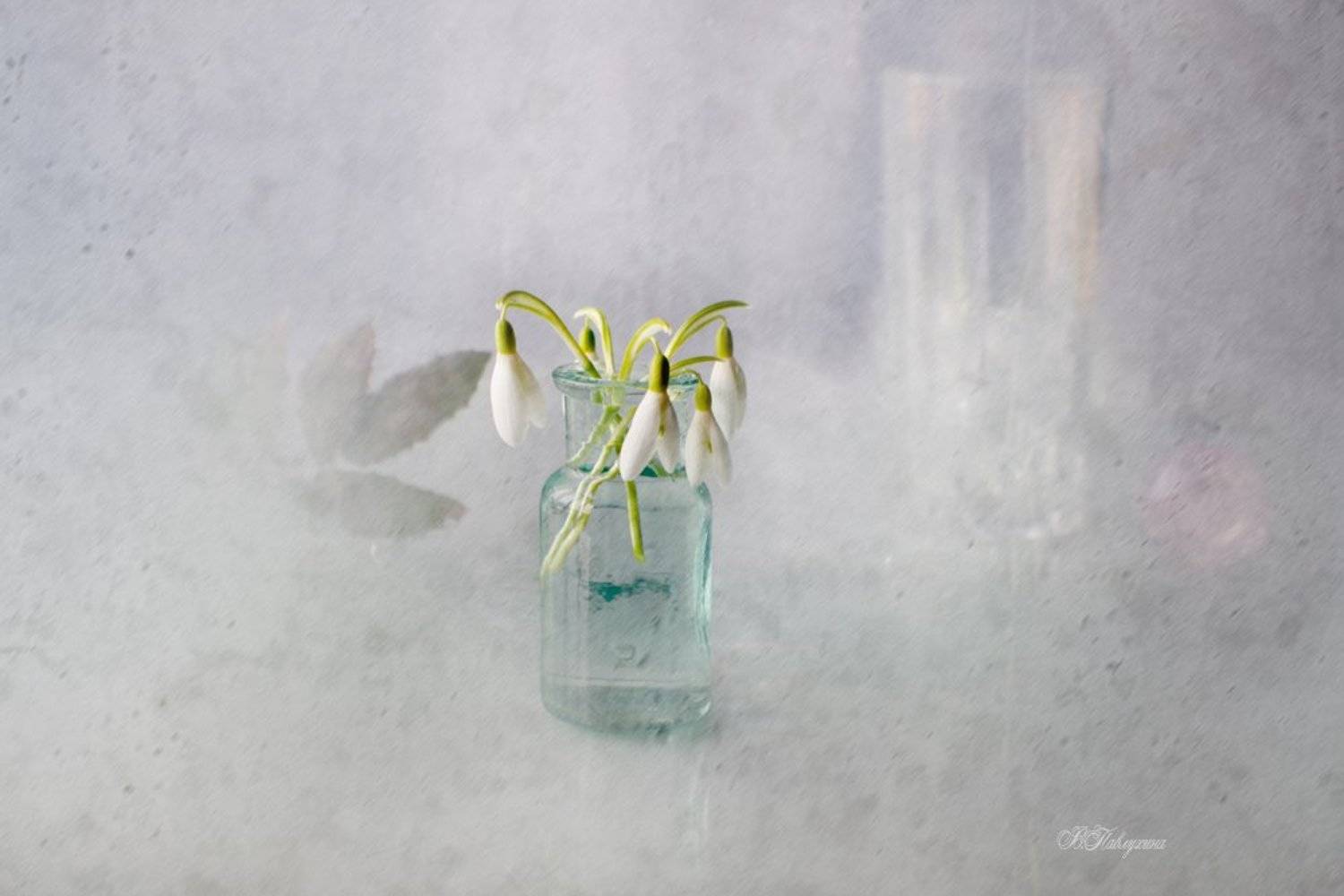 подснежники,стекло,ваза,цветы,вера павлухина,, Вера  Павлухина