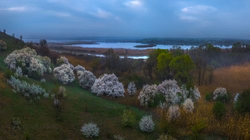 Туманный рассвет