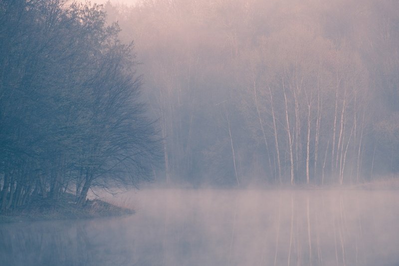 Природа просыпается фото превью