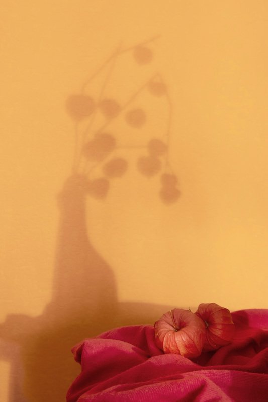 Воспоминание о маме фото превью