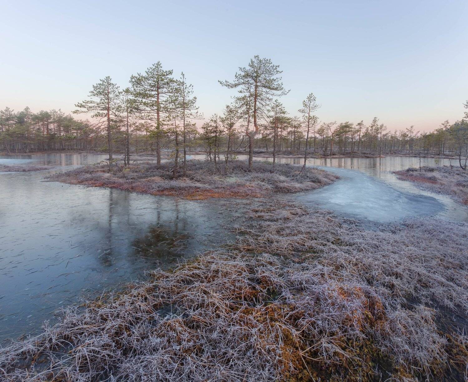 болото, кайф, рассвет ,север ,солнце, свет, остров, лед, Павел Ващенков