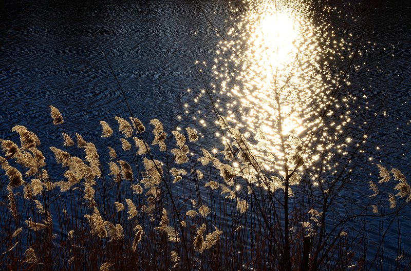 вечер у воды фото превью