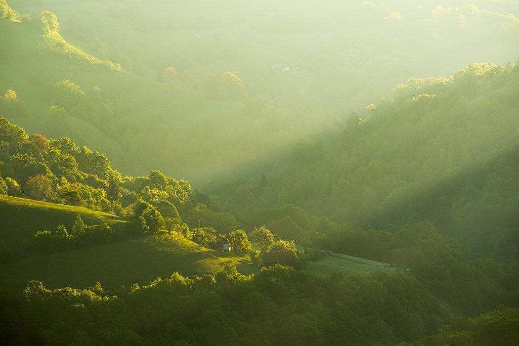 , Stefan Chirobocea