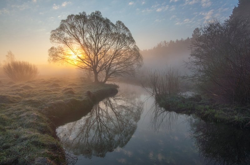 Солнечное утро... фото превью