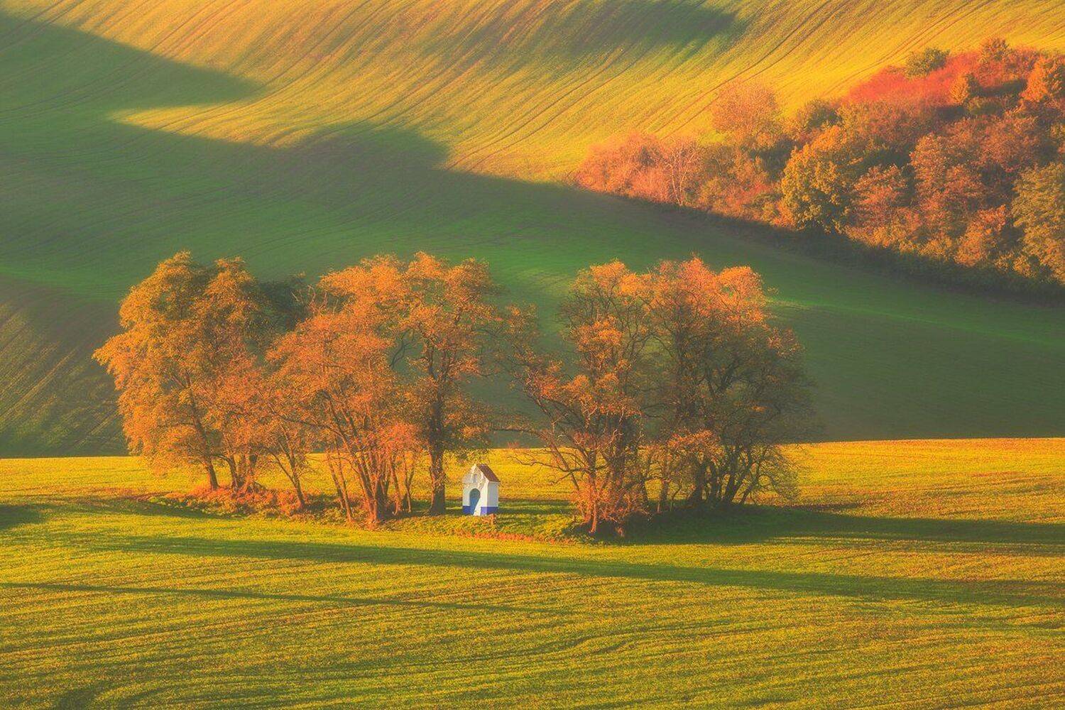 landscape,canon,mist,light,autumn,moravia, Iza i Darek Mitręga