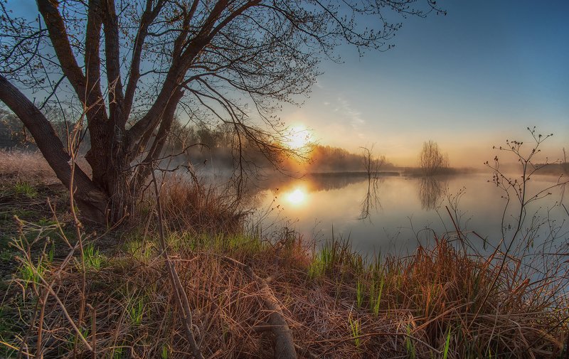 древлянский заповедник  фото превью