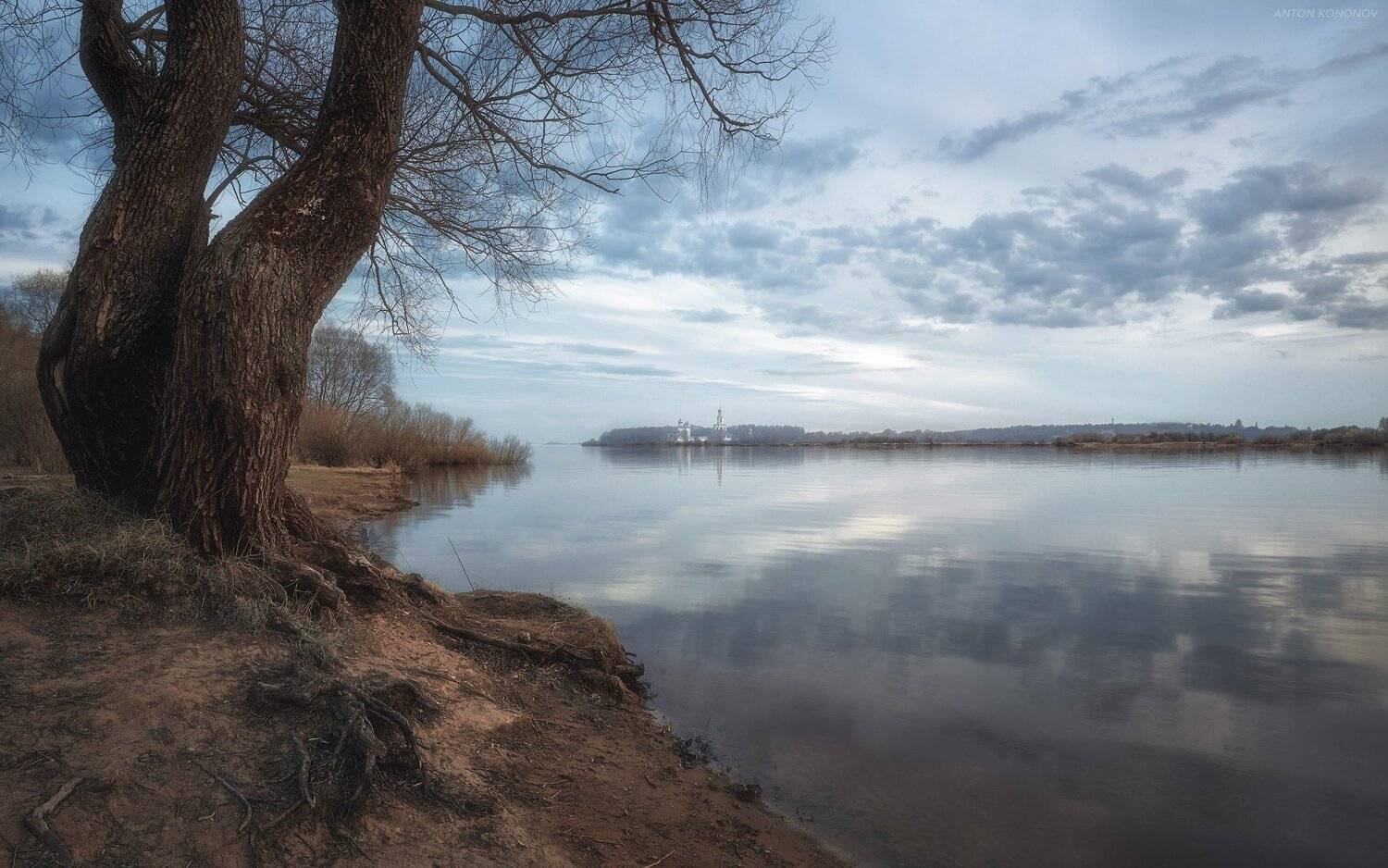 , Антон Кононов