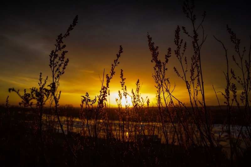 закат Закат фото превью