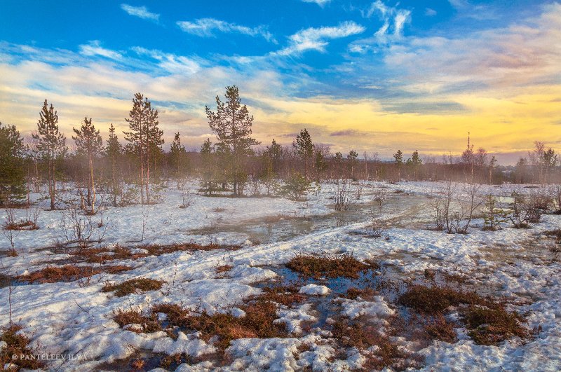 *** фото превью