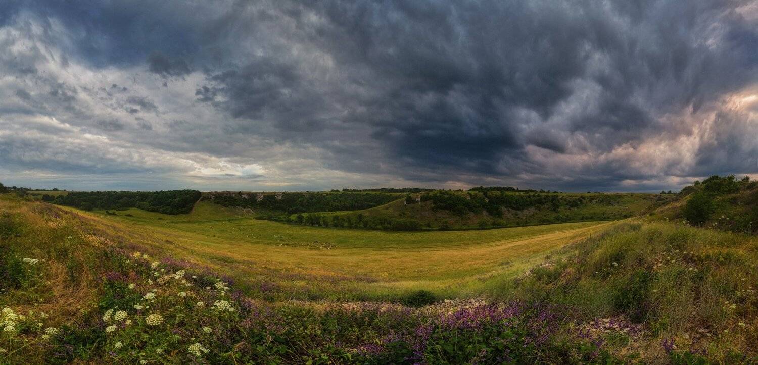 воргол, звонари, елец, липецк, Сергей Кочергин