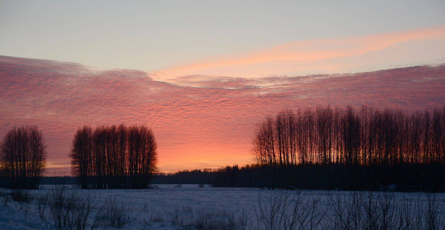 , Михаил Белоусов