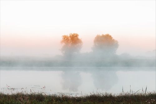 Утро на о.Добром