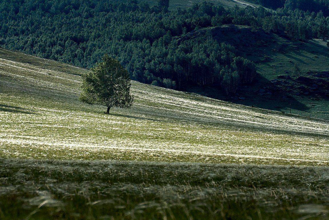 башкирия, южный урал, урал, орск, новотроицк, талкас, гадельша, сибай, зилаир. баймак, юлдыбаево, озеро талкас, водопад, водопад гаделша, пейзаж, лето, осень, качурин, зима, весна, ковыль, Качурин Алексей