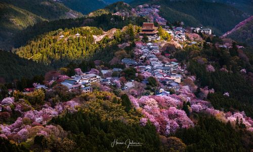 Magical Light