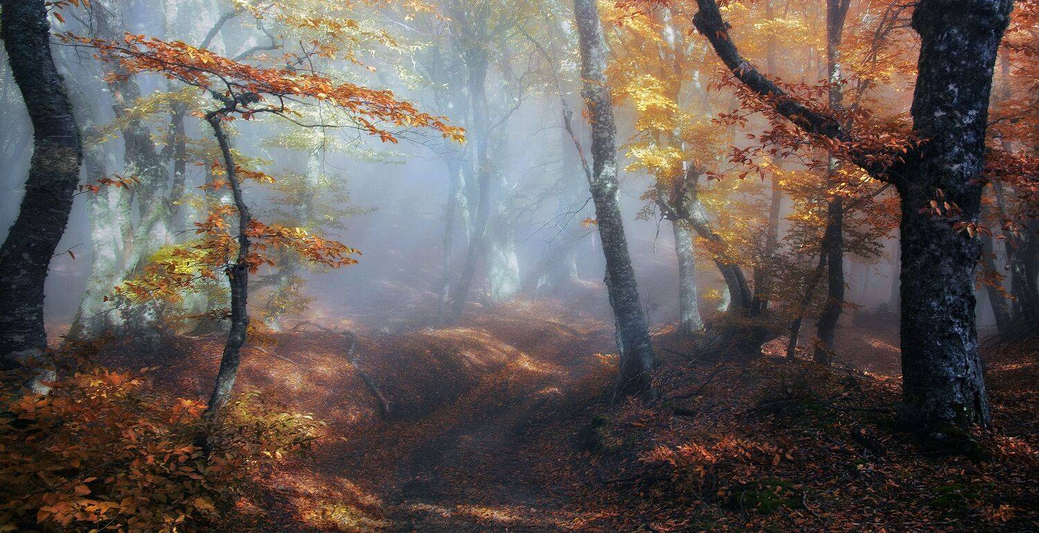 , Милокост Алексей