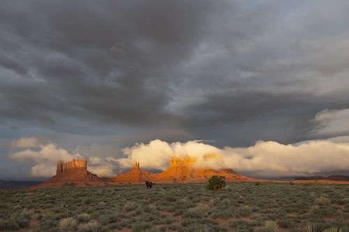 Somewhere in America