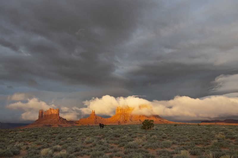 valley of fire, monument valley Somewhere in America фото превью