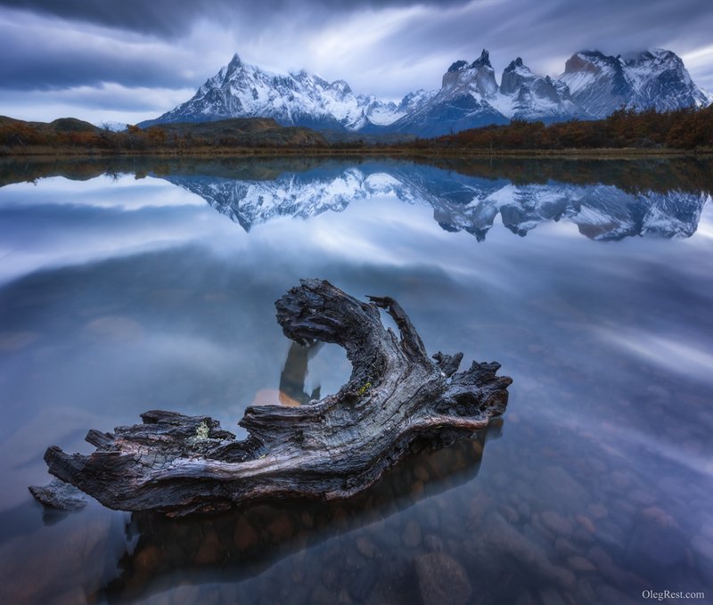 Фотогеничная коряга фото превью