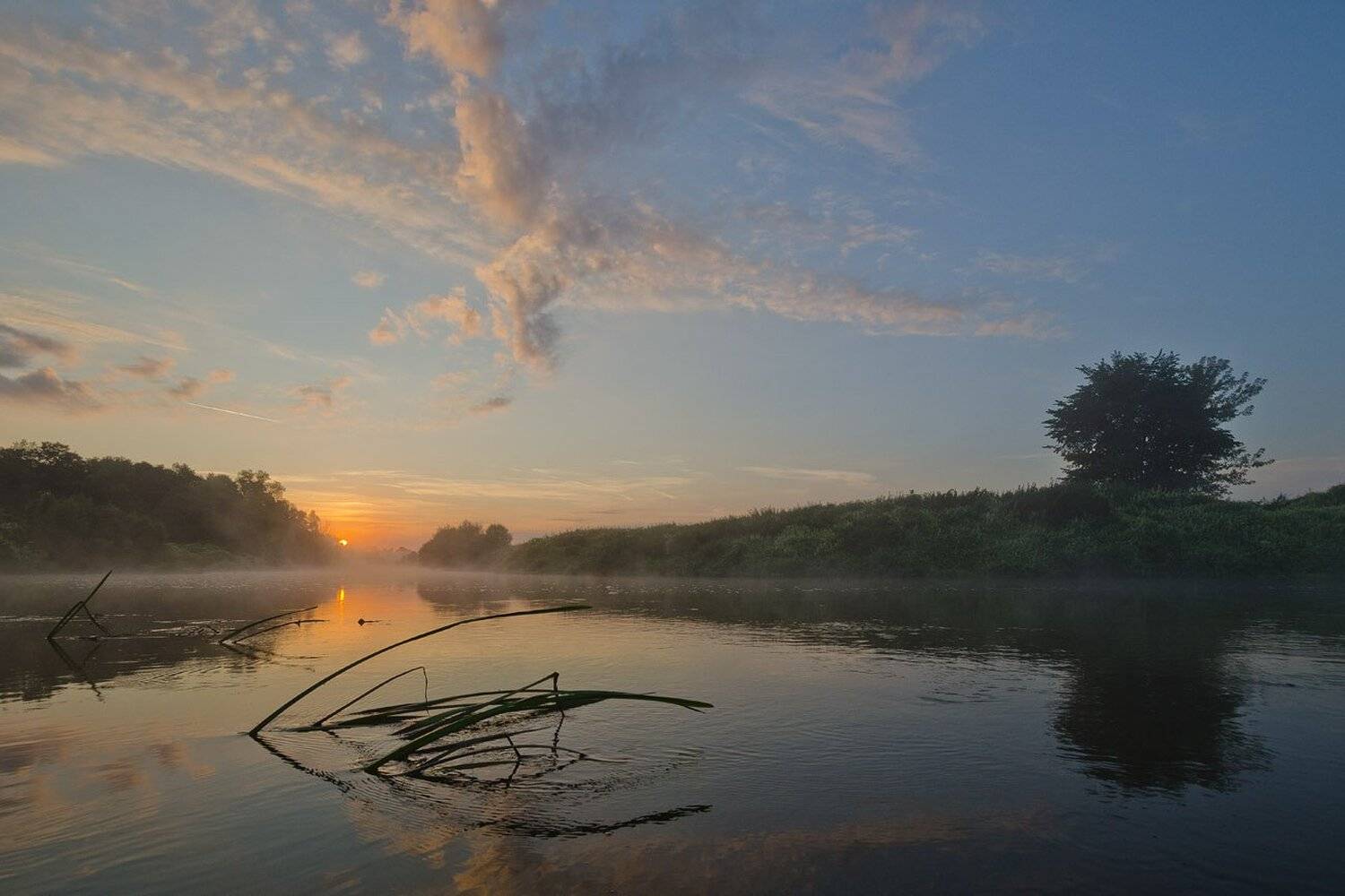 утро, рассвет, река, упа, якшино, Михаил Агеев
