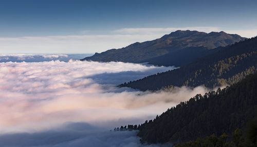 подбираются