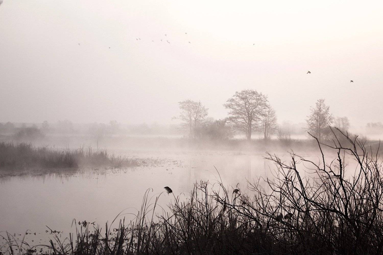 , Мазурин Евгений