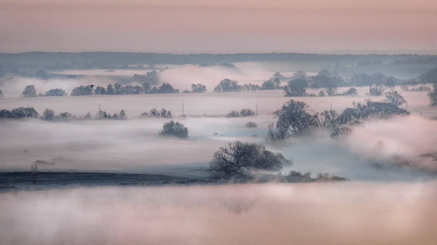 константиново, есенин, рассвет, ока, река, овраги, туман, утро, облака, настроение, Андрей Чиж
