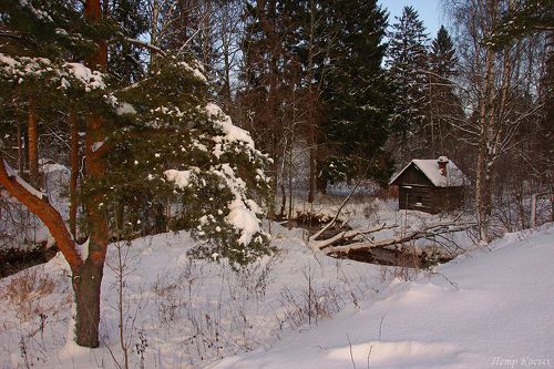 Двенадцать месяцев - история одной избушки
