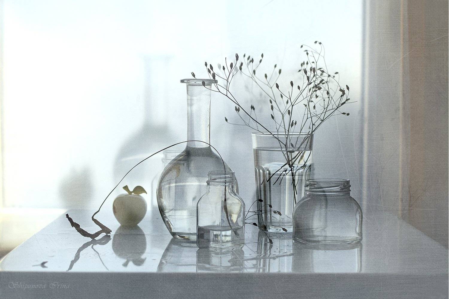 , Шипунова Ирина