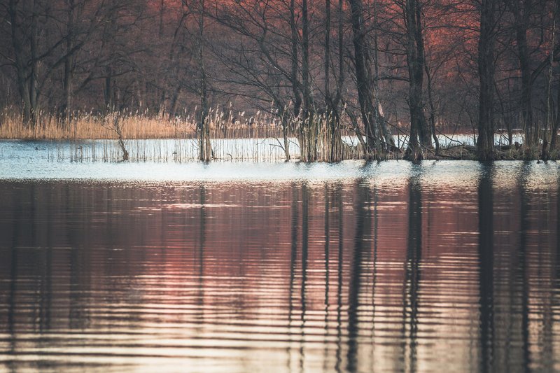 Calm mood фото превью