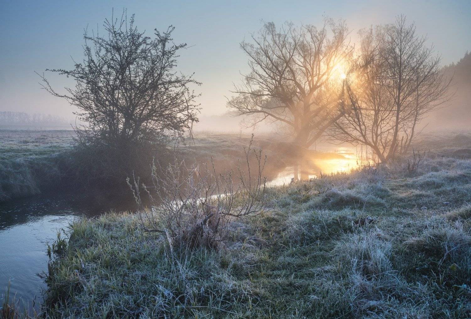 , Сергей Добровольский