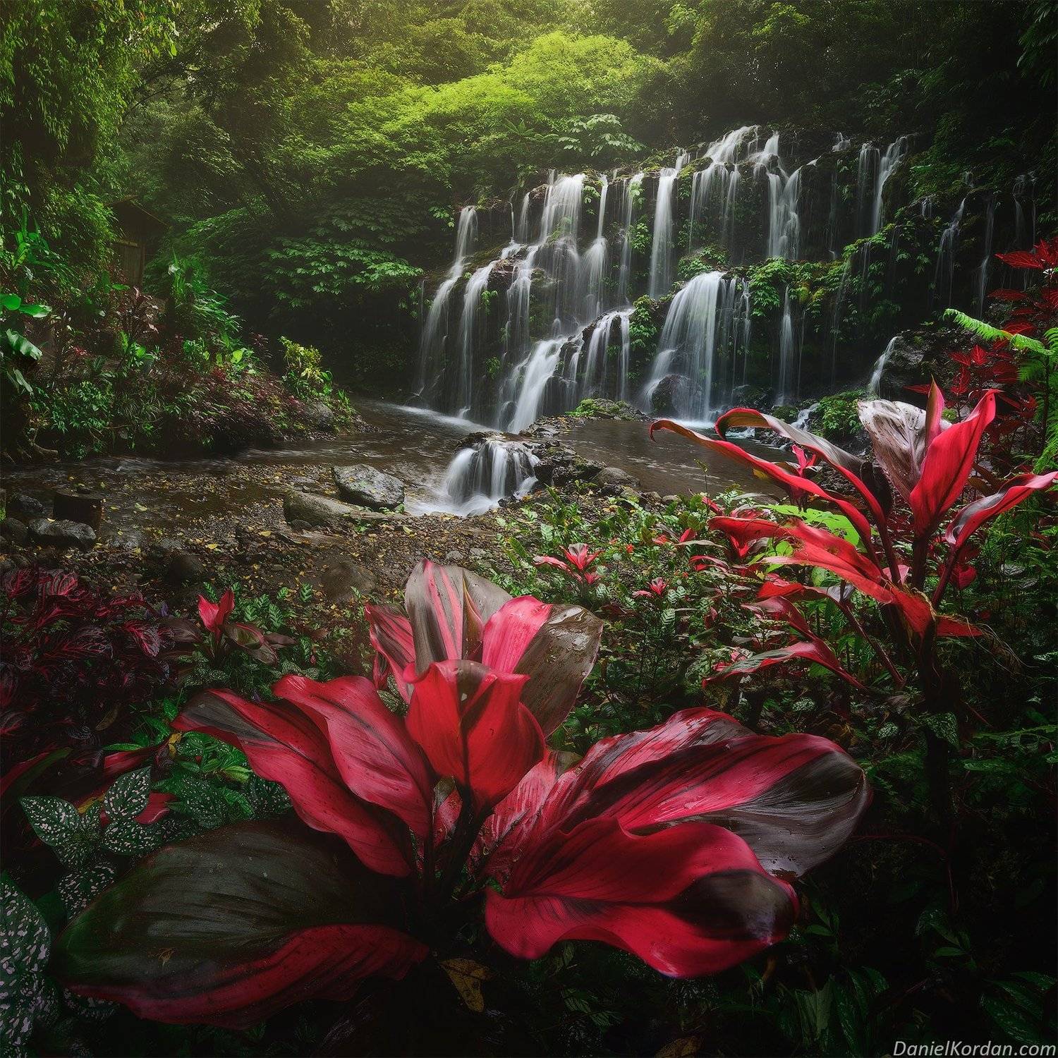 Индонезия, Даниил Коржонов