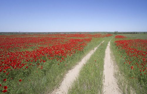 Весенняя дорога