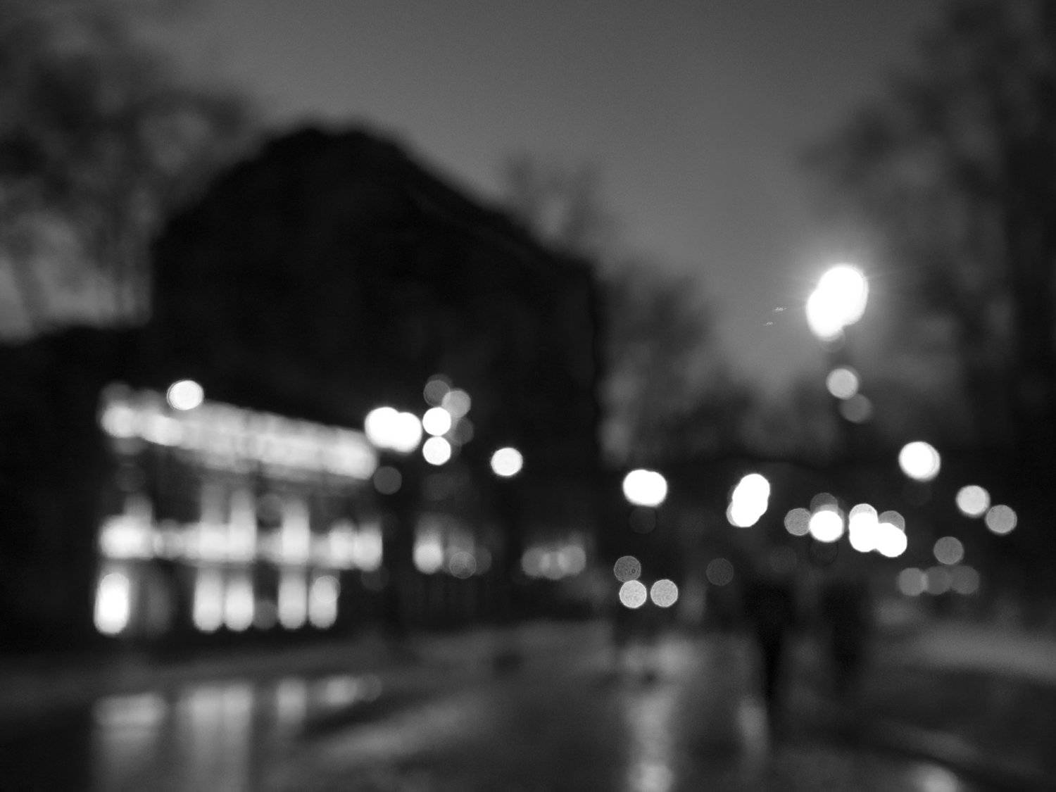 Black and white, Monochrome, Moscow, Russia, Bokeh, Elena Beregatnova