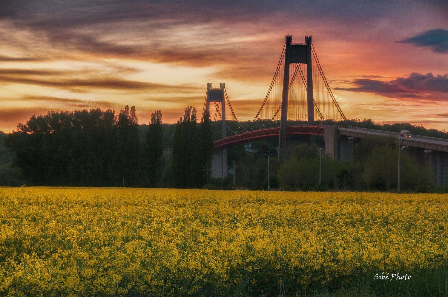 colza:bridge;tancarville;tancarville bridge;pont de tancarville: pont; skylight; sun;, Sib&eacute;