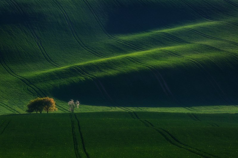 моравия, чехия, moravia, czechczech, моравия, южная моравия, south moravian Чешские этюды. фото превью