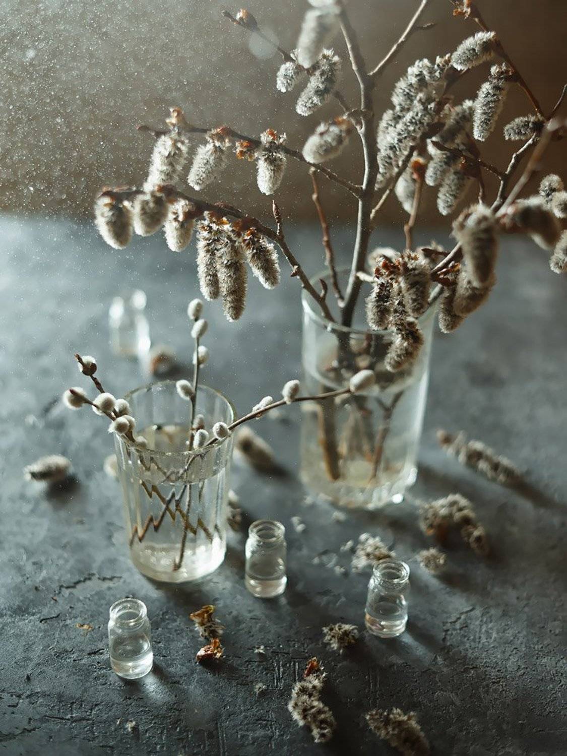 весна, натюрморт, веточка, почки, верба, ольха,, Виктория